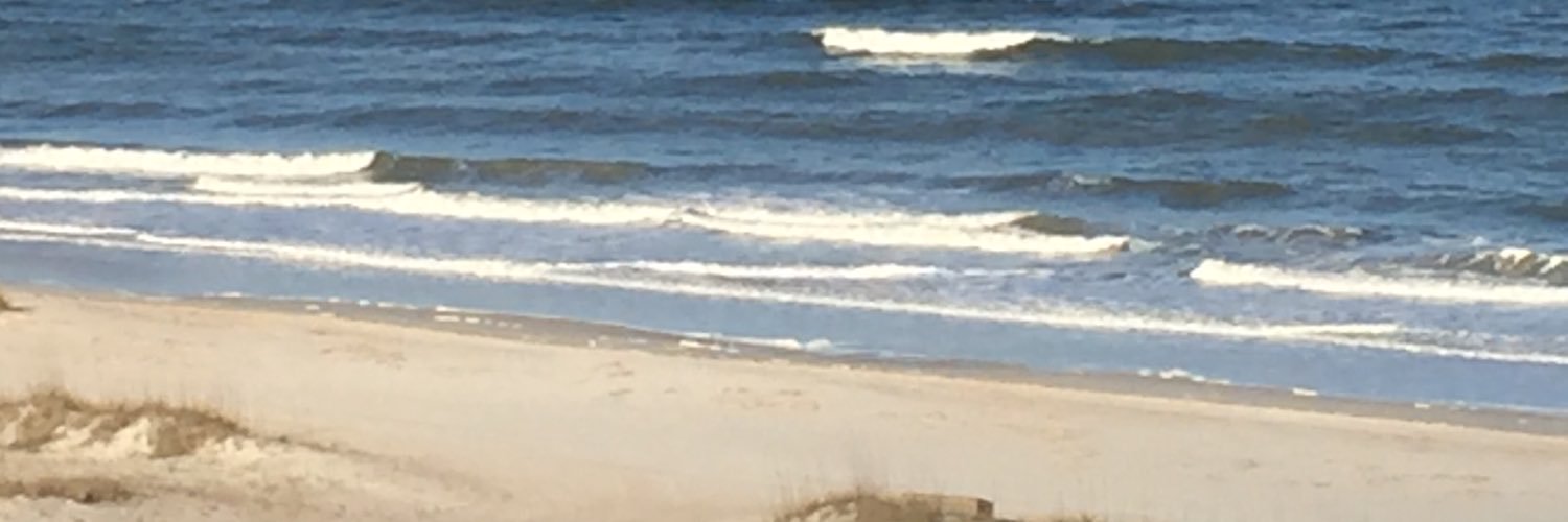 Soaking up Pearls banner