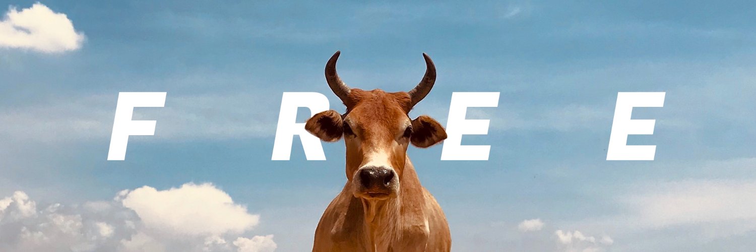 Peter Chen 🌱🌏 banner