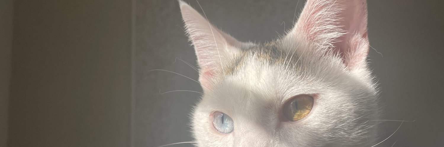 amadacg_'s profile banner image