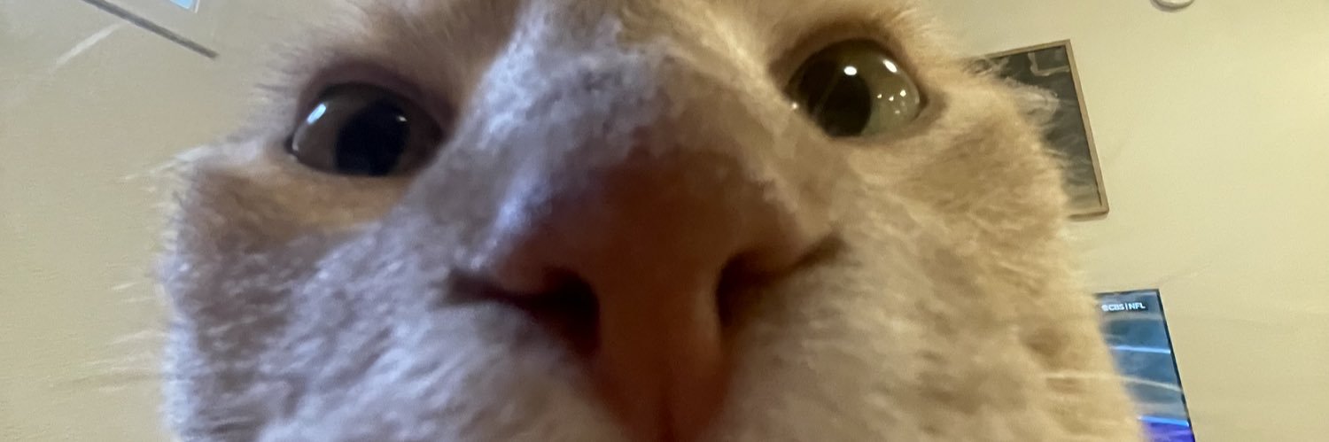 JaceyJune's profile banner image