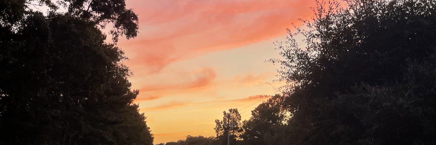 _askshae's profile banner image