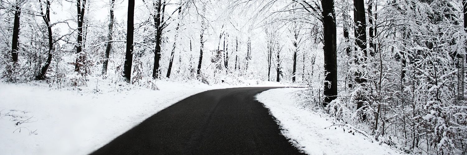Msfitz9's profile banner image