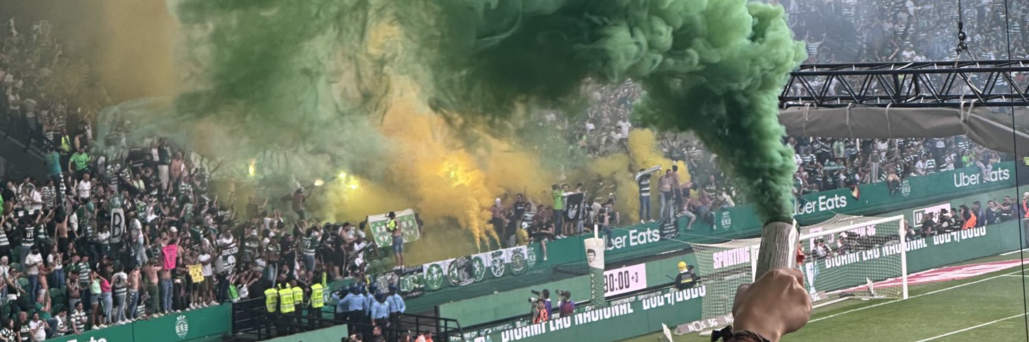 dvs banner