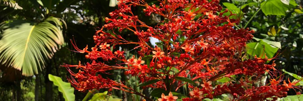 aapplbaum's profile banner image