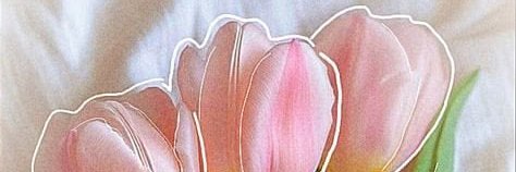 xvammy's profile banner image