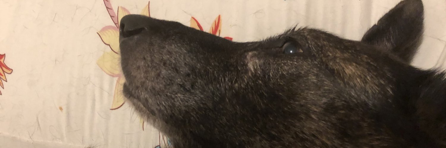 avrysatos's profile banner image