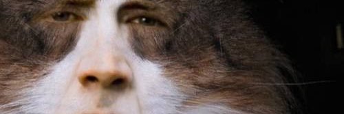 CarsonGiardini's profile banner image