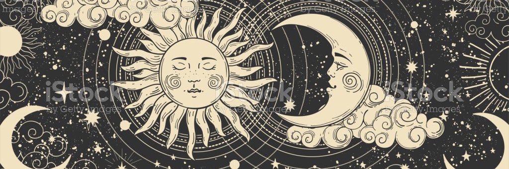 Lilly banner