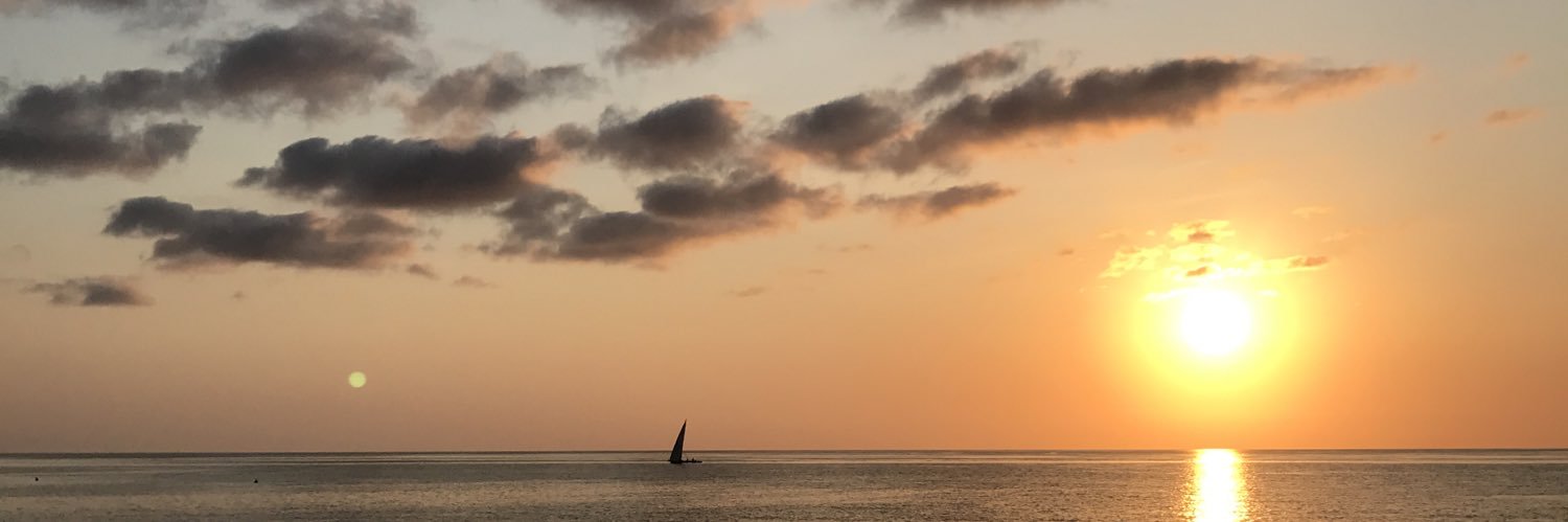 milev_koing's profile banner image