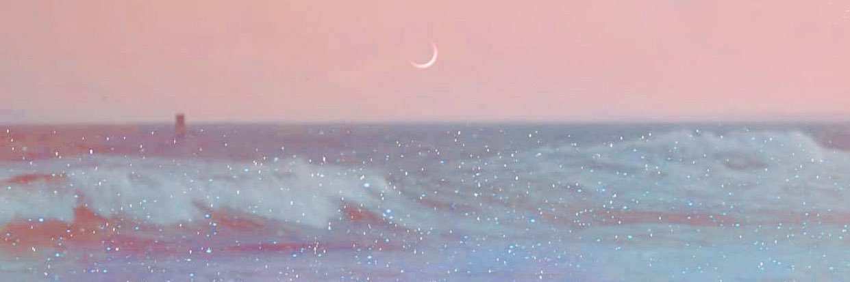 natalied113's profile banner image