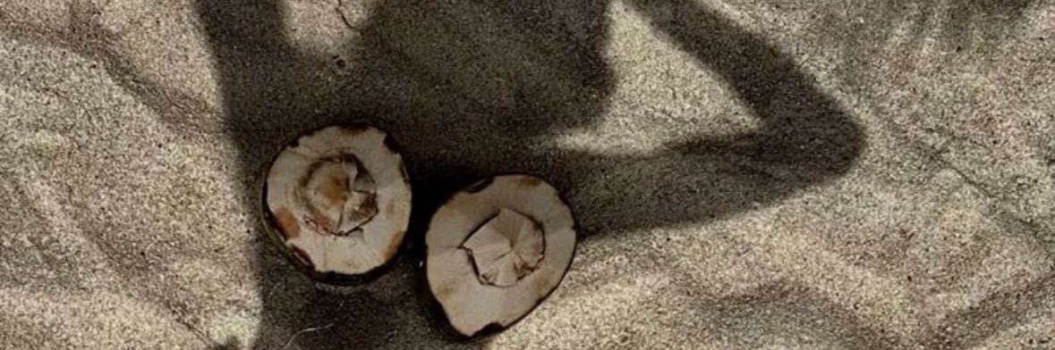 𝙺𝚛𝚒𝚜𝚝𝚒𝚗 𝙺𝚊𝚟𝚊𝚕𝚕𝚊𝚛𝚒 banner