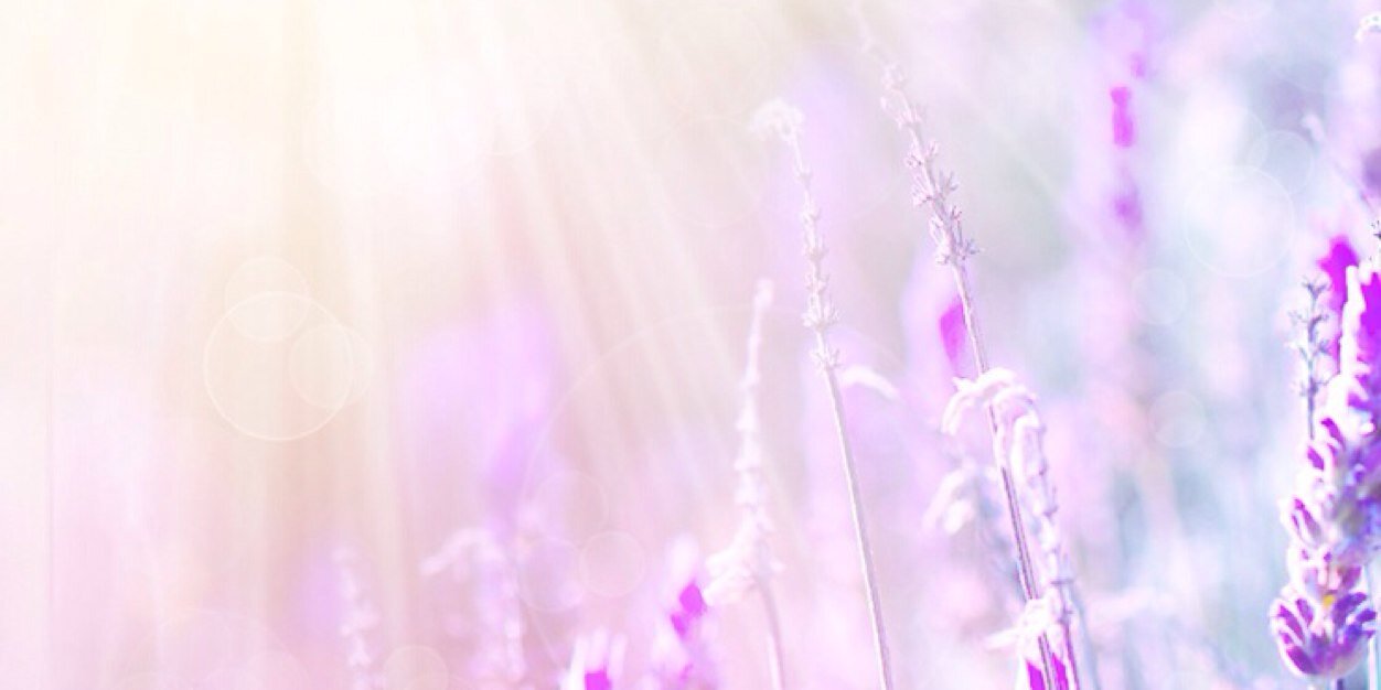 dirandinii's profile banner image