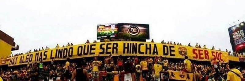 Diego Castro banner