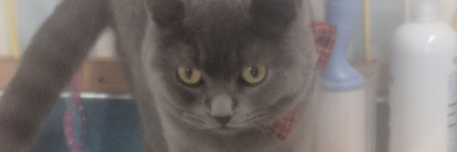 duhronimo's profile banner image