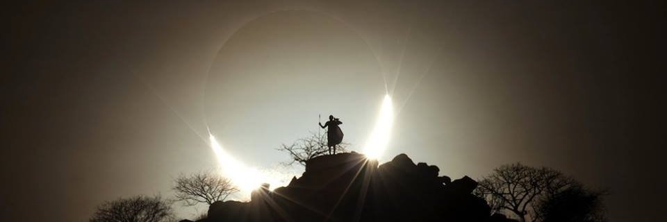 dolivetro's profile banner image