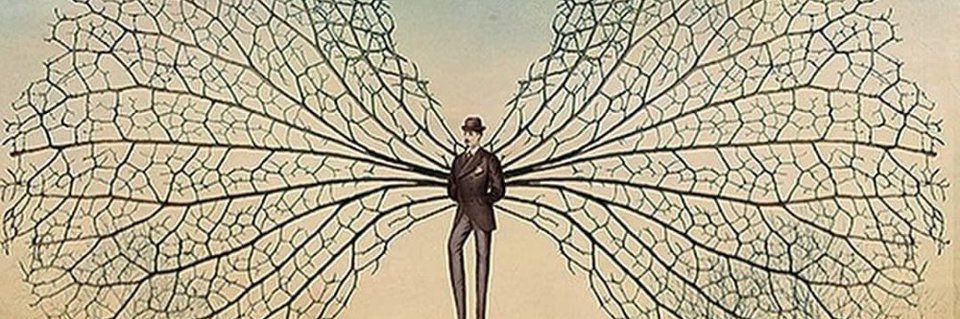 FERNANDO MARTINEZ banner