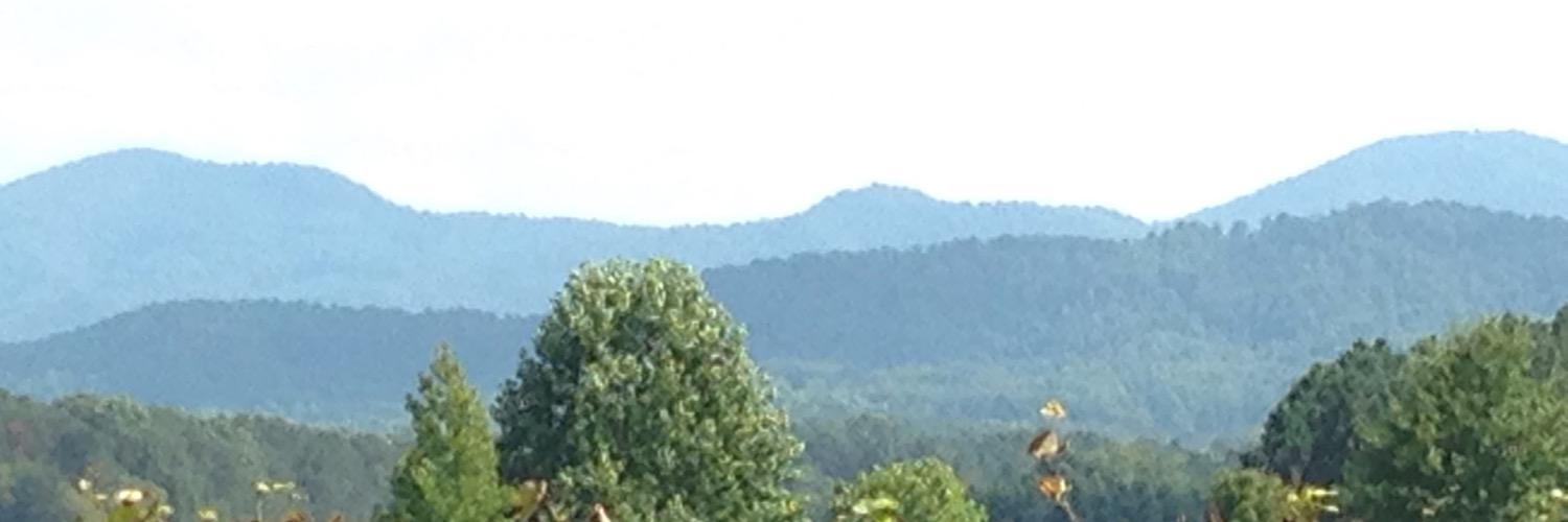 cdhchenery's profile banner image