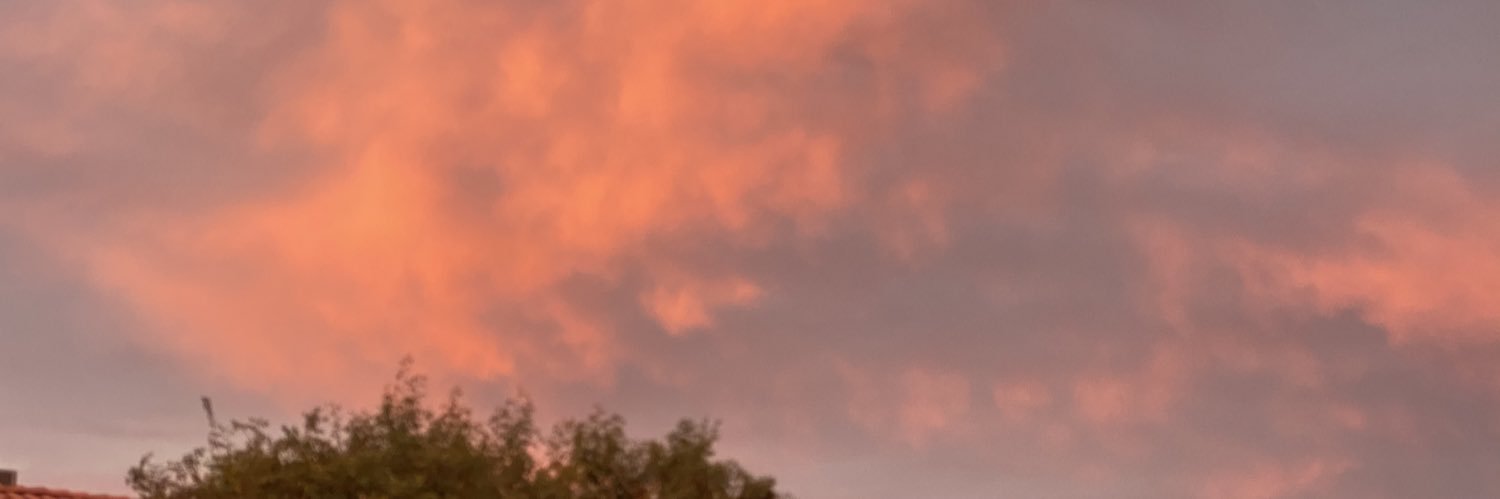 aatmee's profile banner image