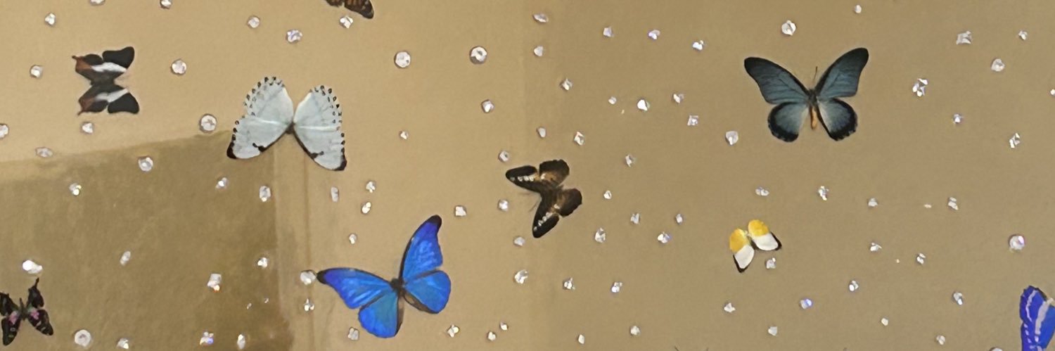 barbaraescobarg's profile banner image