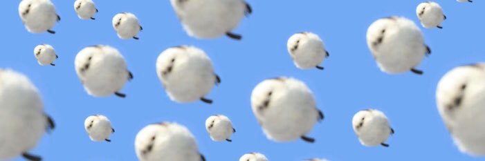 cocoa17899's profile banner image