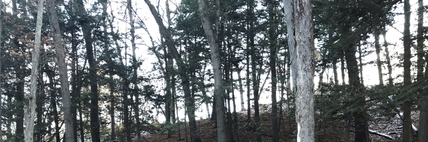 Huzilla's profile banner image
