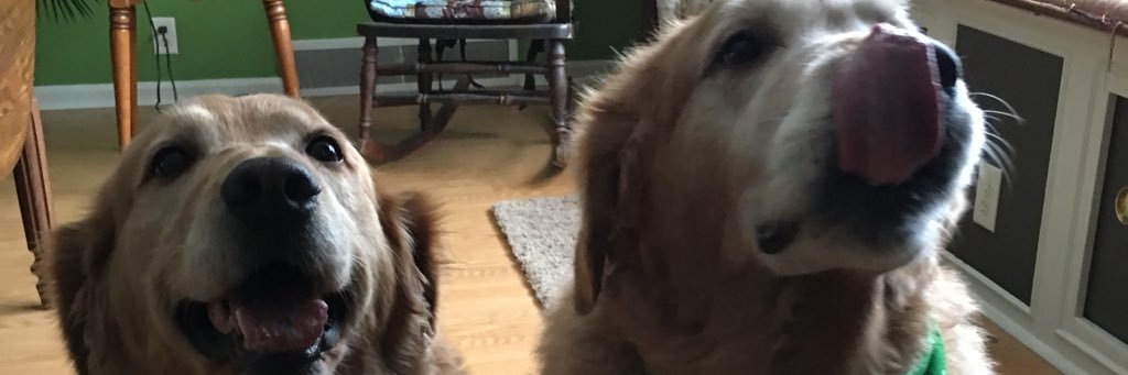 ChadWeldy1's profile banner image