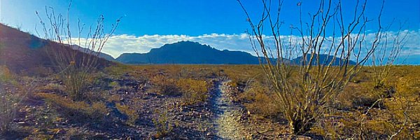 maclow11050 Profile Banner