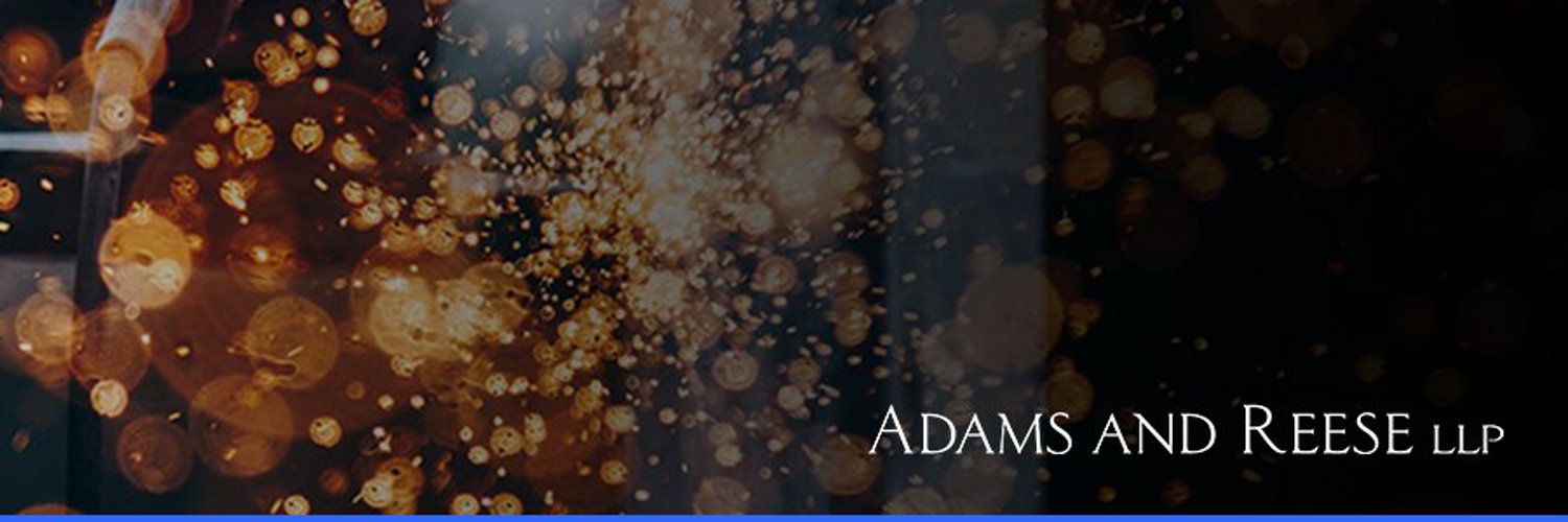 Adams and Reese Profile Banner