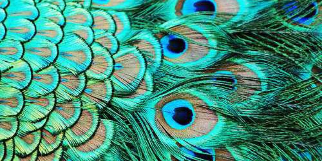tabygato's profile banner image