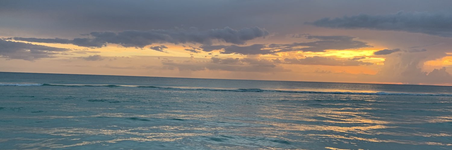 Mazika Monsters by Takoshi MINT LIVE banner