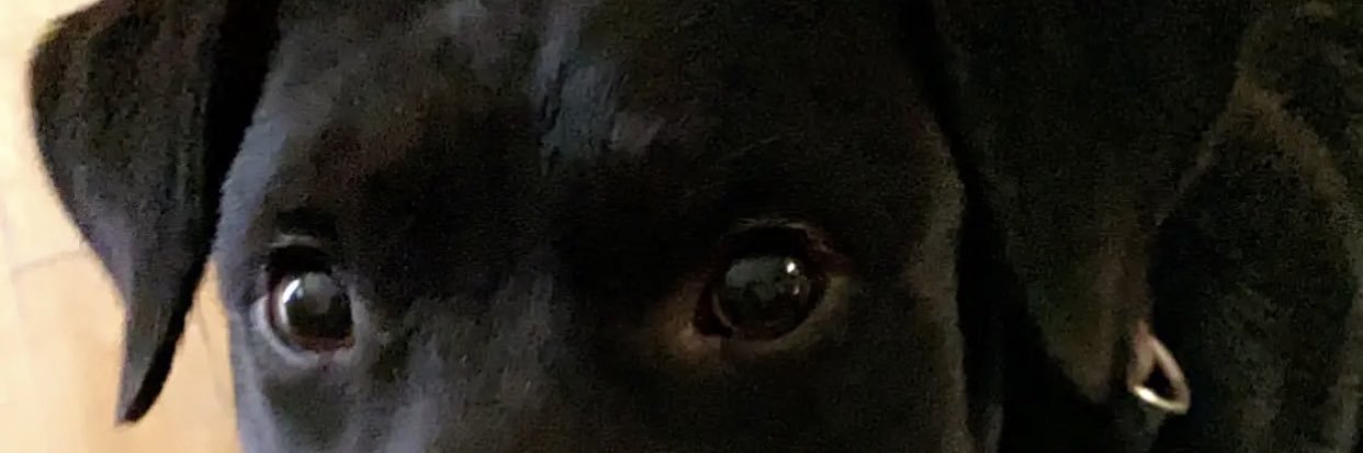 Kainicole14's profile banner image