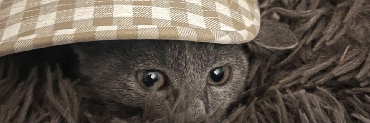 QualsTheName's profile banner image