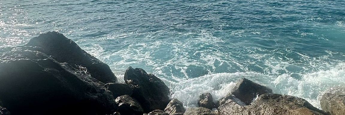 CuevasCornejo's profile banner image