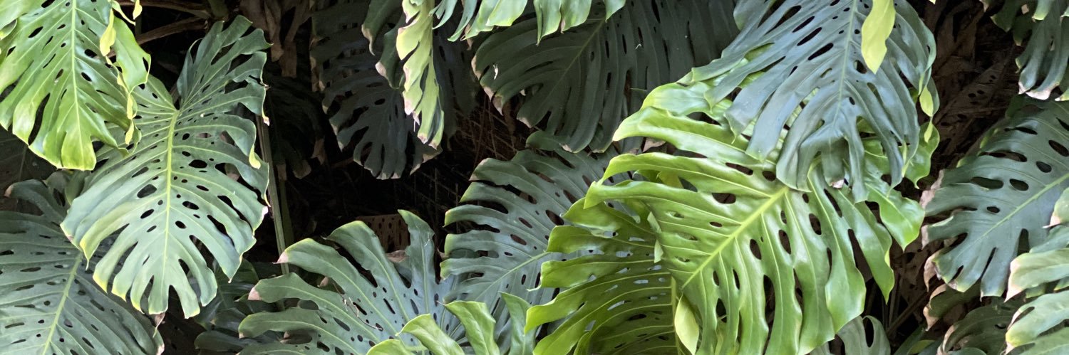 MorganSimianer's profile banner image