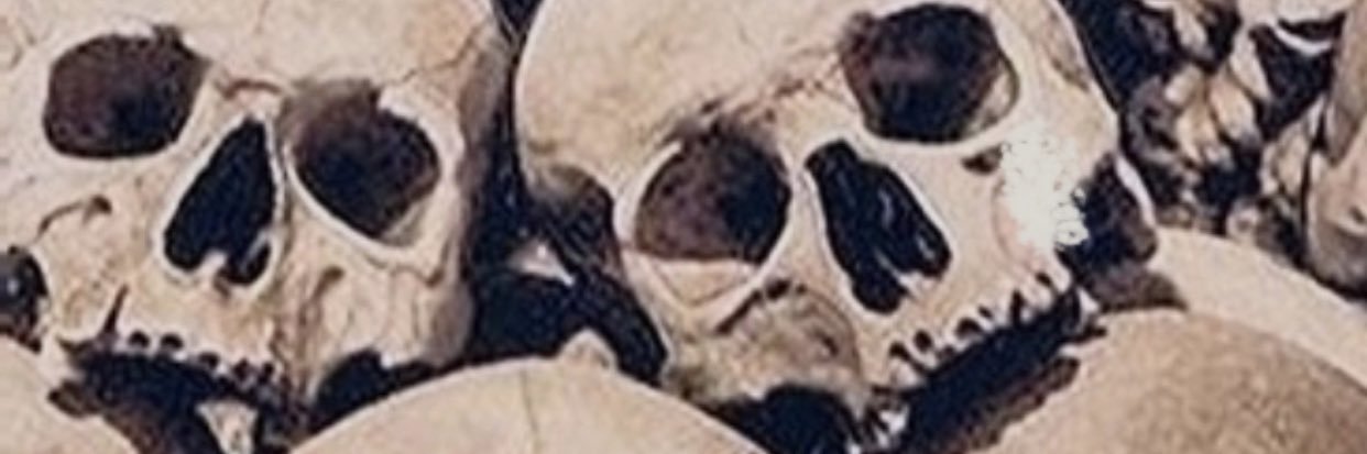 toninfisher's profile banner image