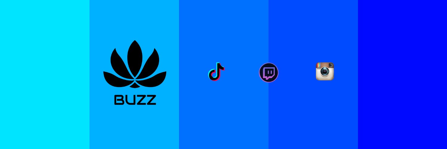 iBuzzington's profile banner image