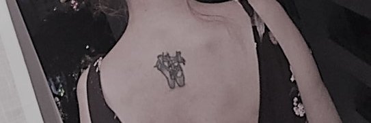 Malu Marcondes banner