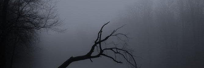 _malumarco's profile banner image