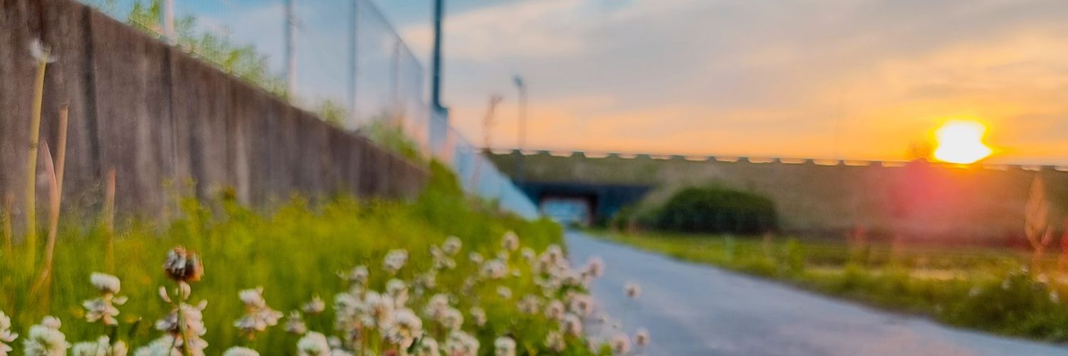 JanitaDP's profile banner image