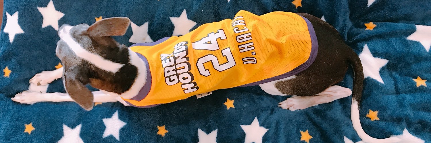 卜部兼慎/Urabe Kenshin banner