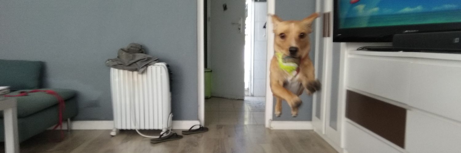 benbugi's profile banner image