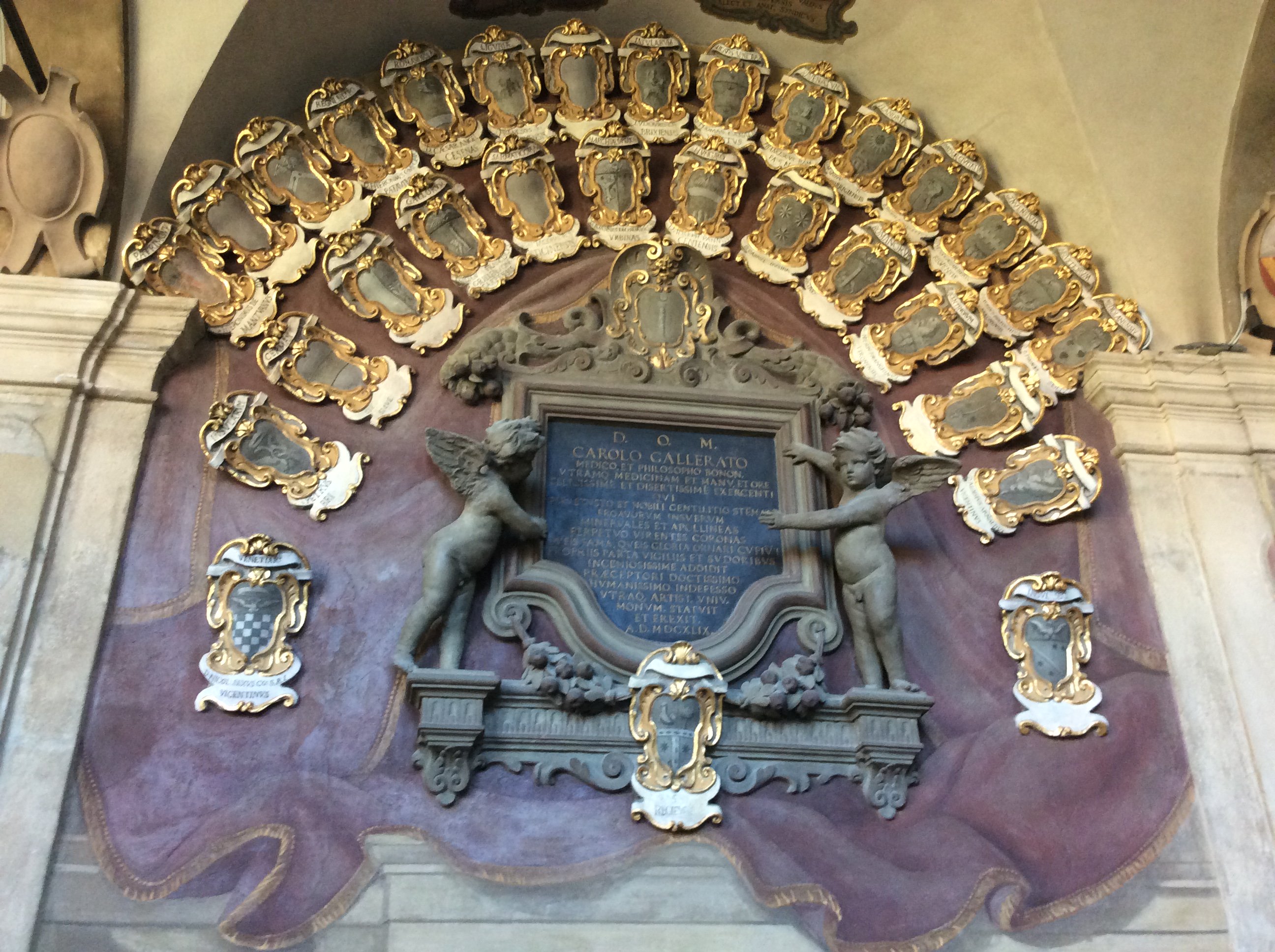 Dr Karen Smith💚🕷🐈🐇🎶🎭📽️🎞💙😷💉🇮🇪🕯️🍂🦋🌻 banner