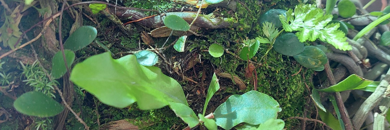 akhiri__'s profile banner image