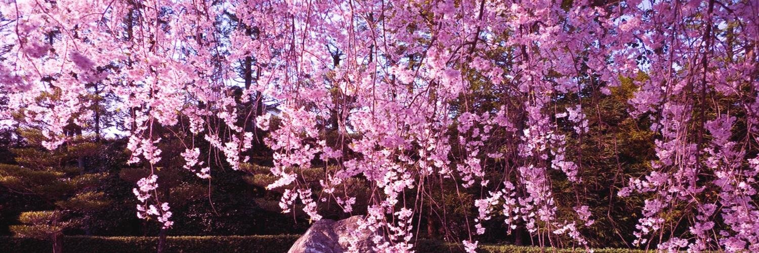 Privy Skin Care banner