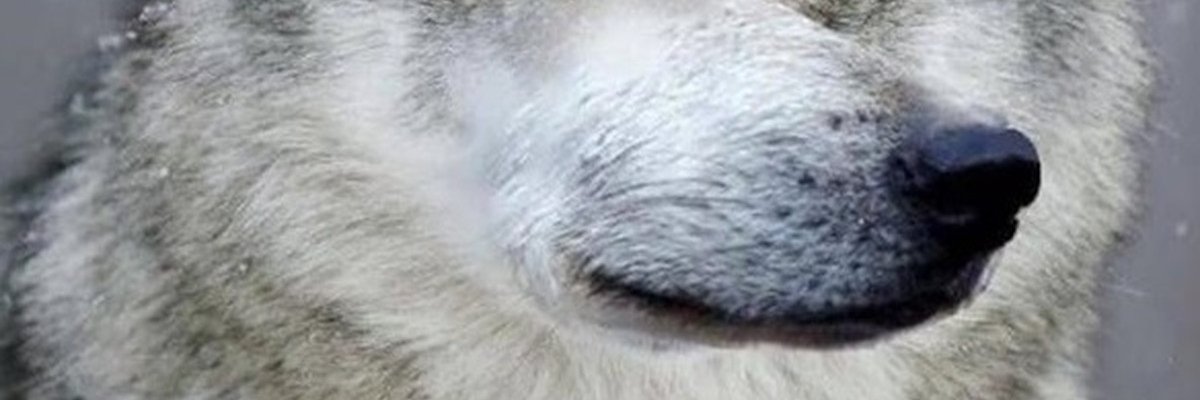 Ky6uk's profile banner image