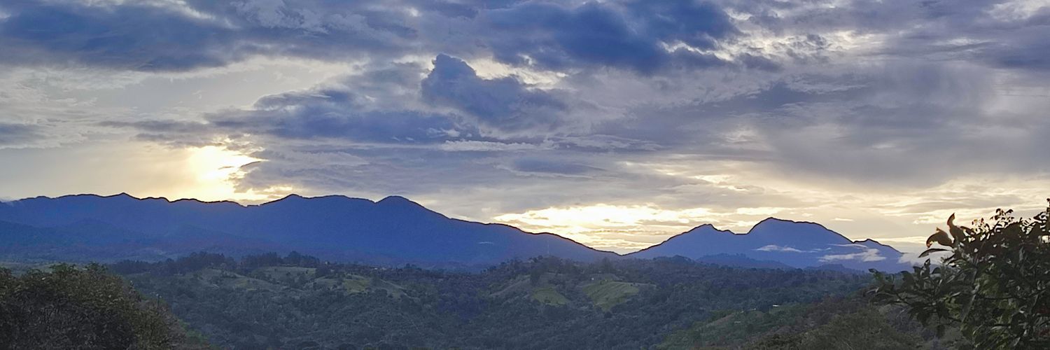 KatysamlLandau's profile banner image