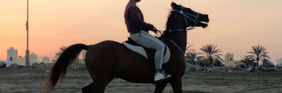 omar 🇦🇪 banner