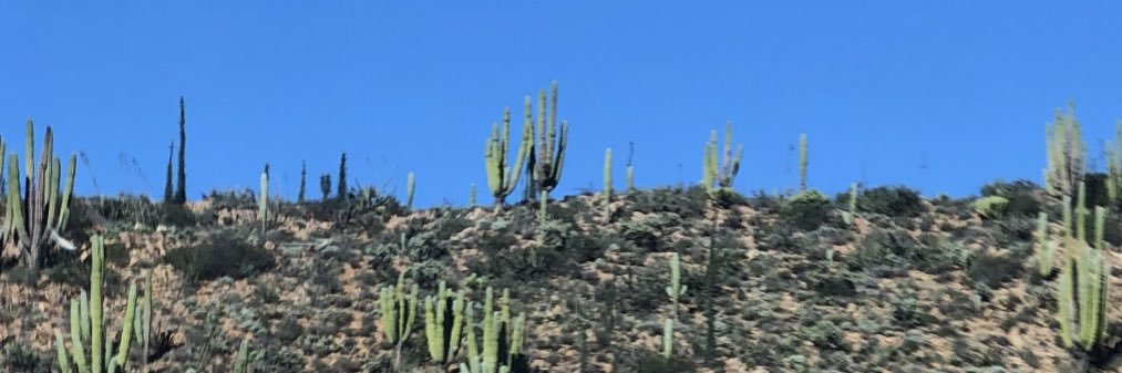 EstebanCna's profile banner image