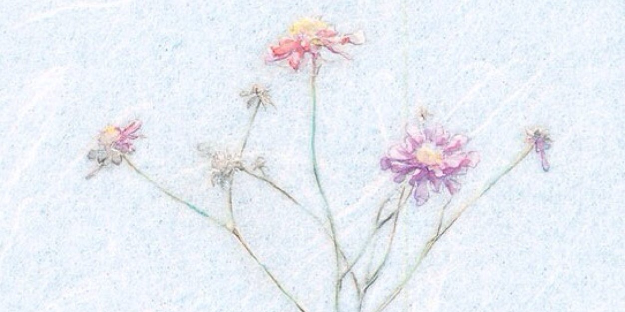 tomatose_jin's profile banner image