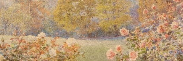 Mother of gatitxs 🌻 banner